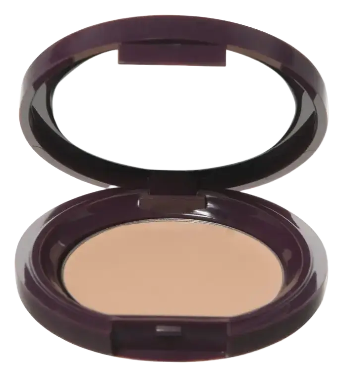 100% Pure Fruit Pigmented Long Last Concealer With Super Fruits Peach Bisque