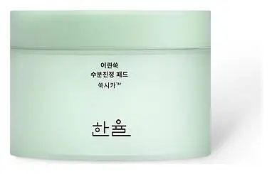 Hanyul Pure Artemisia Calming Pad
