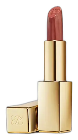 Estée Lauder Pure Color Hi-Lustre Lipstick 111 Tiger Eye