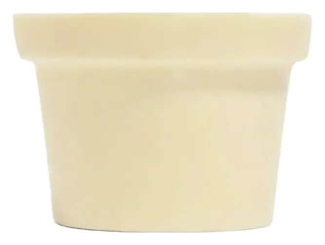 LUSH Ro's Argan Naked Body Conditioner