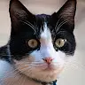 AmbroiseGourdou_69's avatar