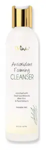 Deluvia Antioxidant Foaming Cleanser