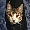 sabrinamason's avatar