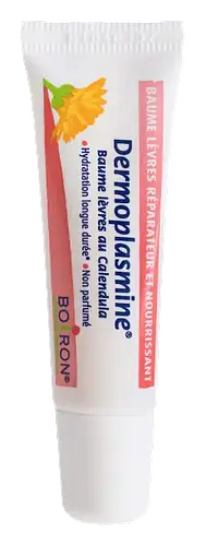 Boiron Dermoplasmine Baume Lèvres