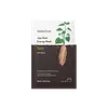 Yam