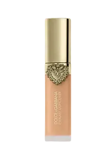 Dolce & Gabbana Everlast Concealer 1N