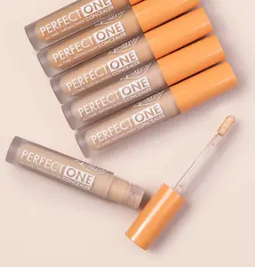 PuroBIO Cosmetics Perfect One Concealer