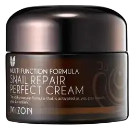 Mizon Snail Repair Perfect Cream