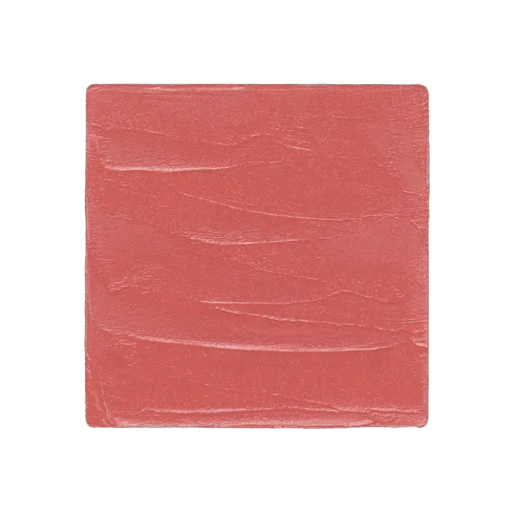 Salt New York Lip + Cheek Rose