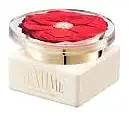 Byroe Rose Tea Eye Cream