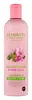 Mallow Flower & Pink Clay