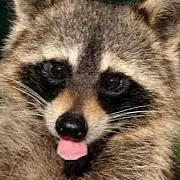 andreacultrera's avatar