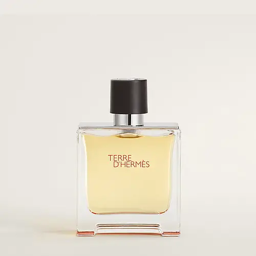 Hermès Terre d'Hermes Parfum
