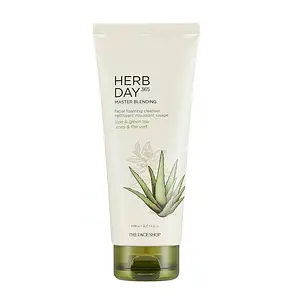 The Face Shop Herb Day 365 Foaming Cleanser - Aloe & Green Tea