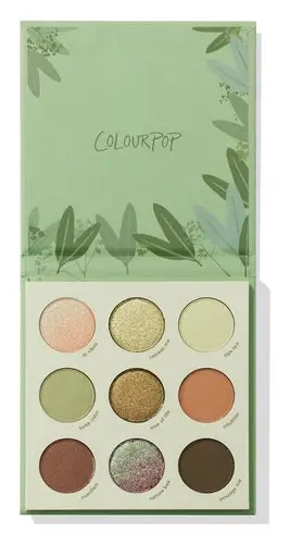 Colourpop 9-Pan Palette Sage The Day