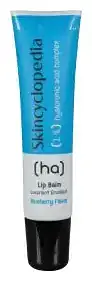 Skincyclopedia 1% Hyaluronic Acid Complex Lip Balm