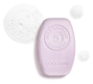 L'Occitane Gentle & Balance Solid Shampoo