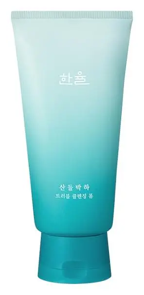 Hanyul Mentha Trouble Foam