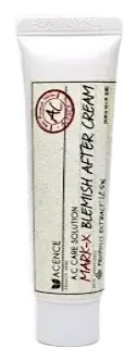 Mizon Acence Mark X Blemish After Cream