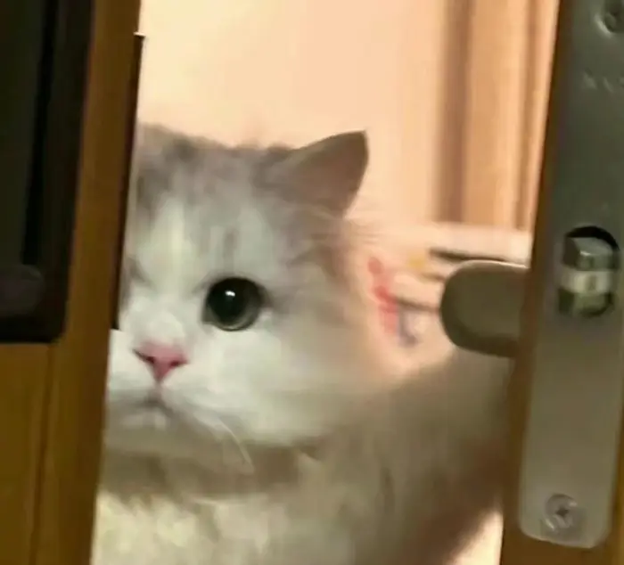 izzqistina's avatar