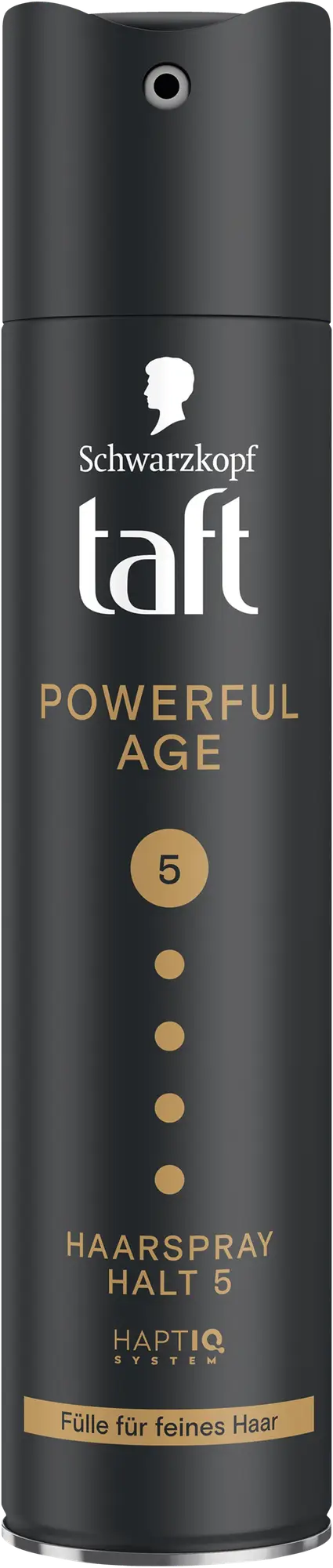 Taft Powerful Age Haarspray Halt 5