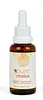 Pure Choice Brightening Vitamin C Serum