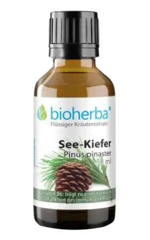 Bioherba See-Kiefer Drop Tincture