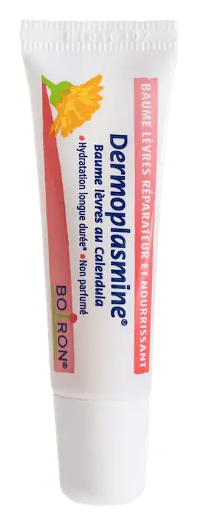 Boiron Dermoplasmine Baume Lèvres
