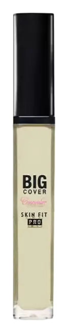 Etude House Big Cover Skin Fit Concealer Pro Neutral Mint