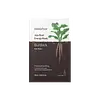 Burdock