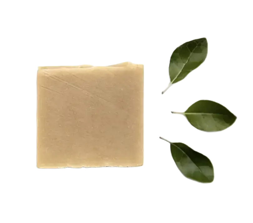 Klapotis Savon Délice De L’ourson