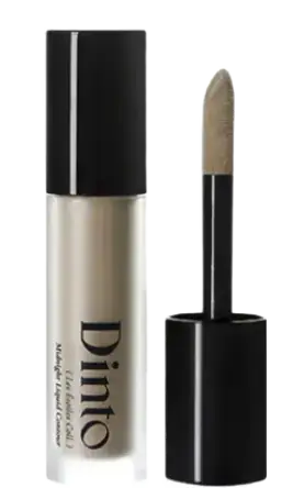 Dinto Midnight Liquid Contour 061 Cool Shade