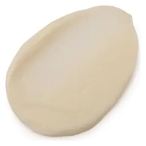 LUSH Enzymion Moisturizer