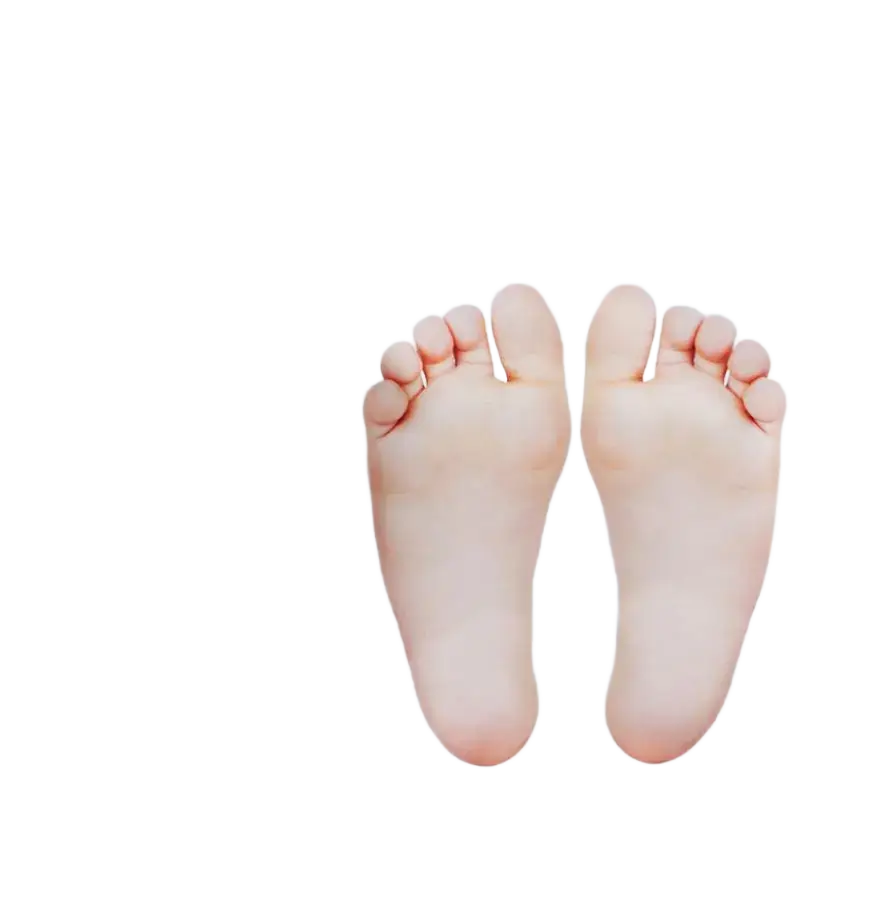Dr+wonder Crocodile Foot Mask