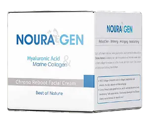 Nouragen Chrono Reboot Facial Cream