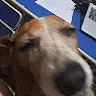 giovanabraa's avatar