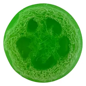 Soap Cute California Watermelon Natural Loofah Exfoliating Soap Bar