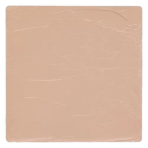 Salt New York Sneaky Balm Hydrating Skin Tint N13