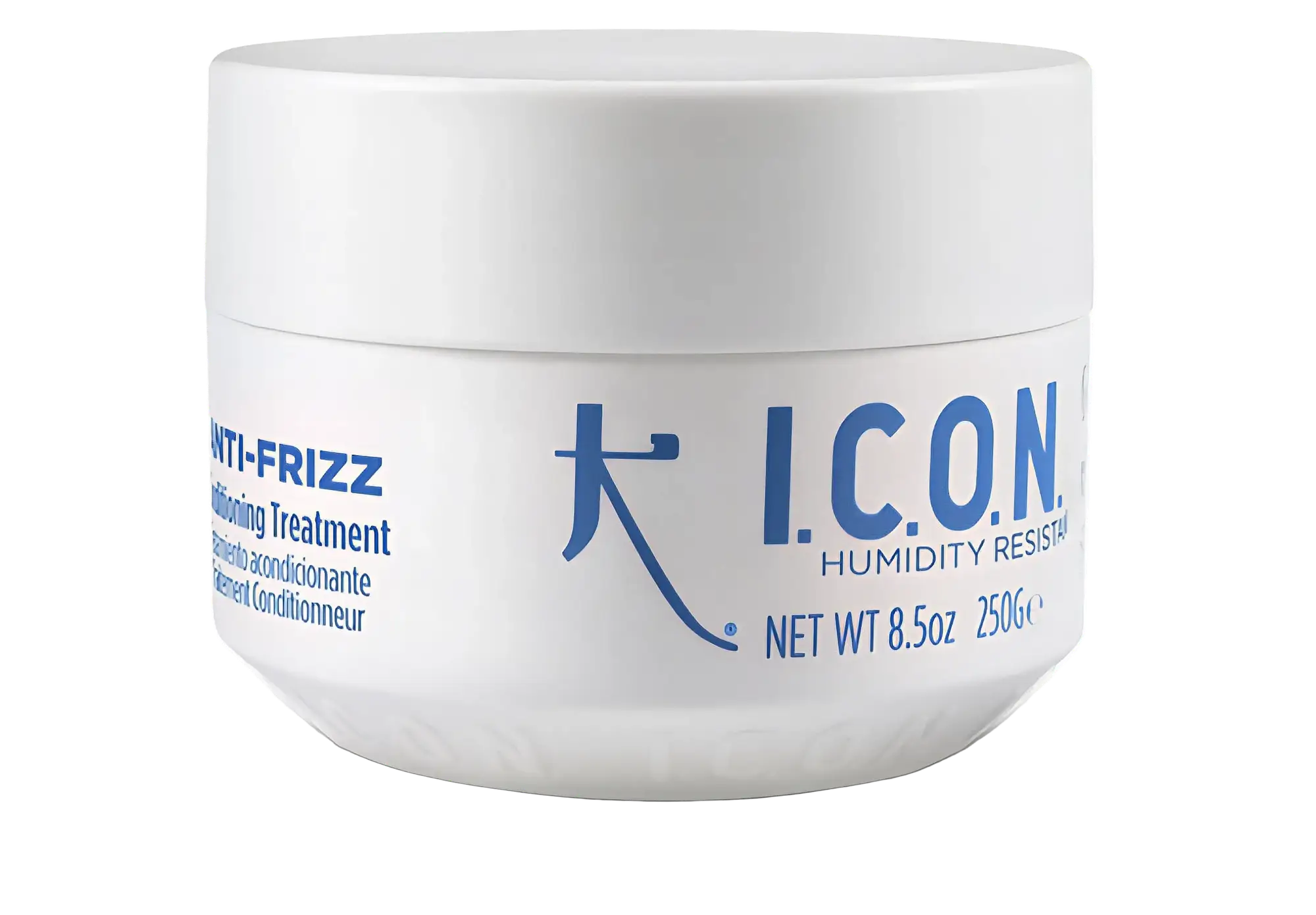 I.C.O.N. Anti-Frizz Conditioning Treatment
