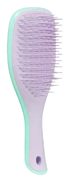 Tangle Teezer The Mini Ultimate Detangler Hairbrush Wisteria