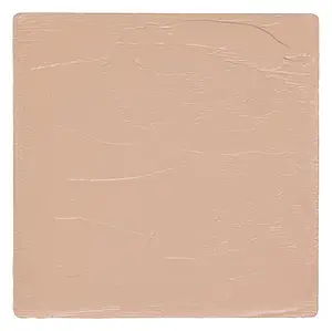 Salt New York Sneaky Balm Hydrating Skin Tint N13
