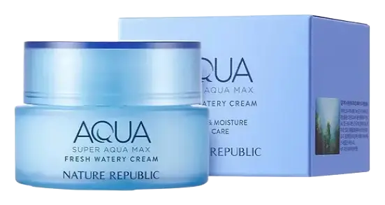 Nature Republic Super Aqua Max Fresh Watery Cream