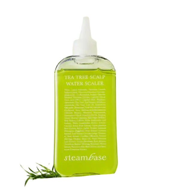 Steambase Tea Tree Scalp Water Scaler