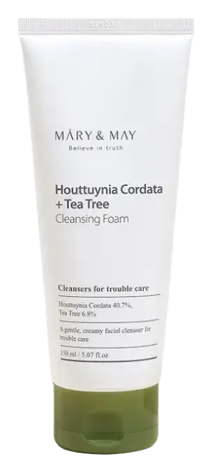 Mary & May Houttuynia Cordata + Tea Tree Cleansing Foam