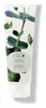 Eucalyptus