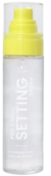 A2O Lab Pro Finish Setting Spray