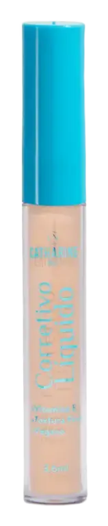 Catharine Hill Fluid Concealer Caramel