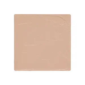 Salt New York Sneaky Balm Hydrating Skin Tint N13