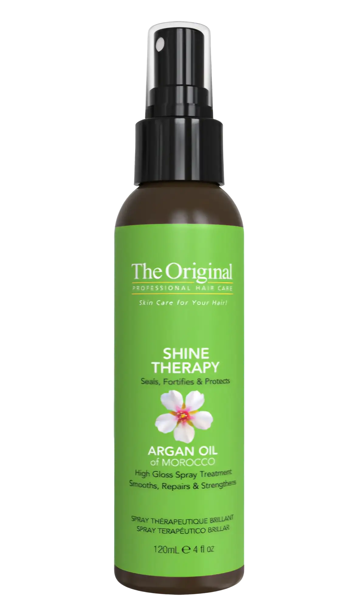 Dermorganic Shine Therapy High Gloss Spray Treatment
