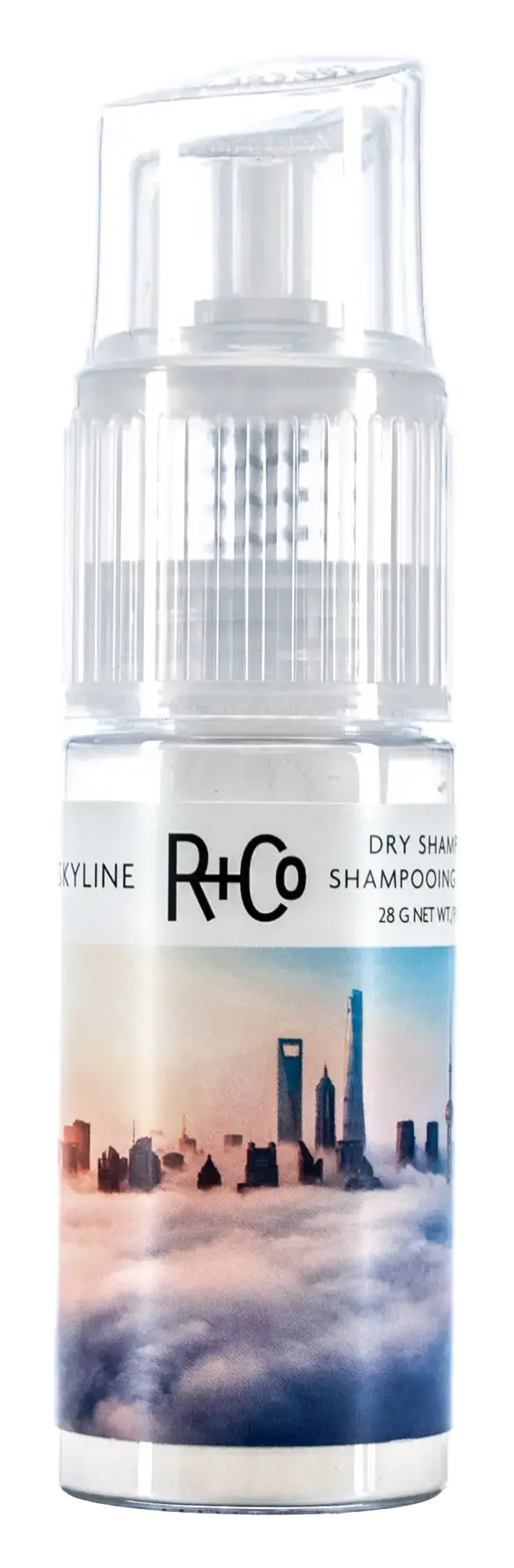 R & Co Skyline Dry Shampoo Powder